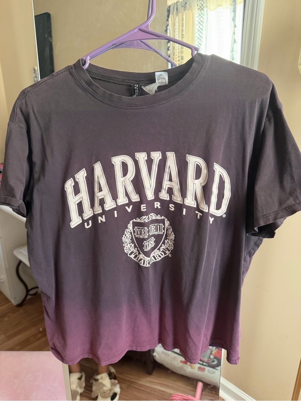 H&M Purple Ombre Harvard Short Sleeve Crop Tee
